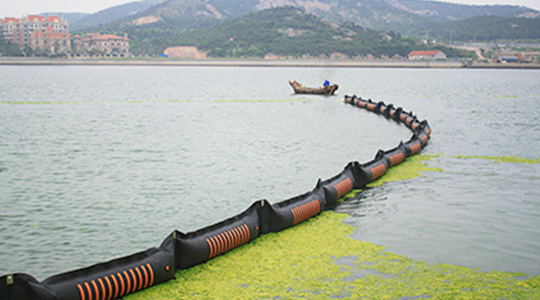 2008年7月，參加青島海域滸苔防治工作